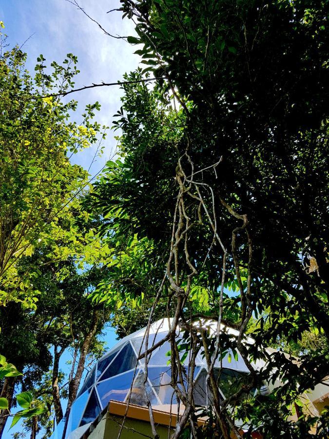 Chira Glamping Resort Monteverde Eksteriør bilde