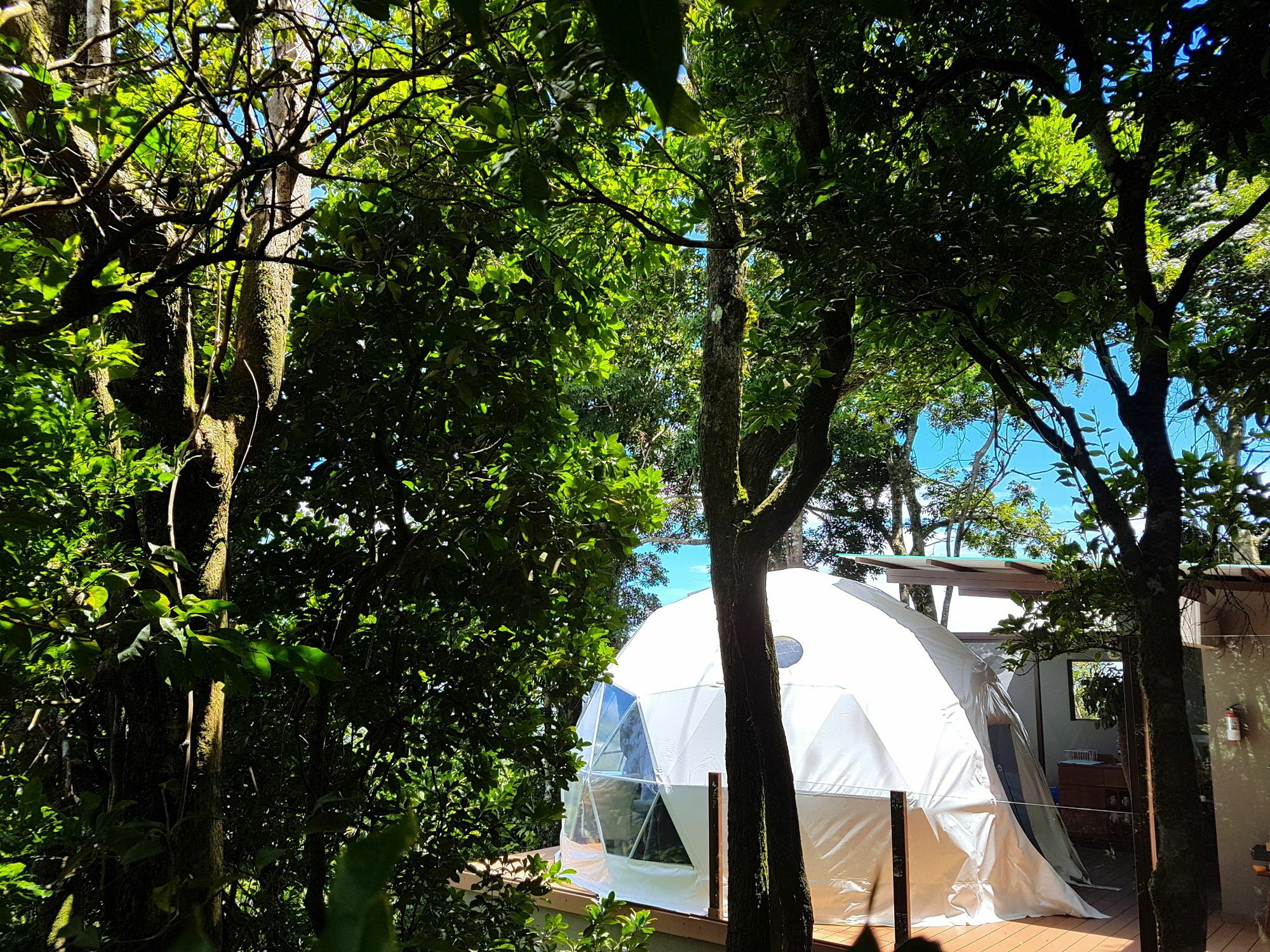 Chira Glamping Resort Monteverde Eksteriør bilde